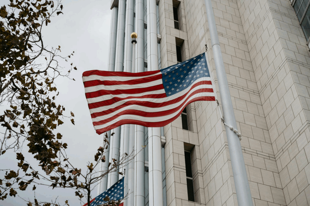 Threadline and Government Work: Your Strategic Partner for Public Sector Projects